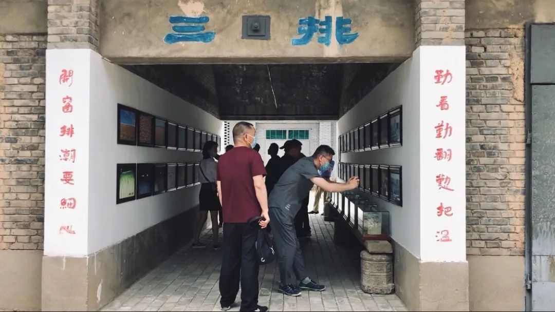 西安周边游的宝藏玩法