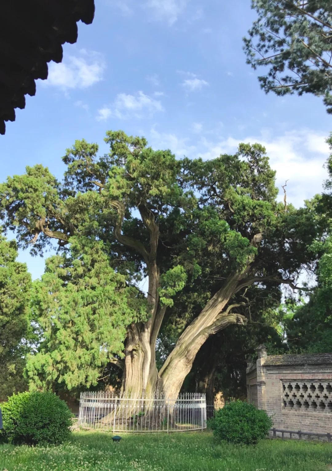 西安周边游的宝藏玩法