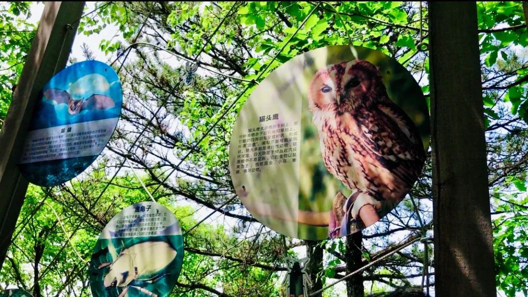 西安周边游的宝藏玩法