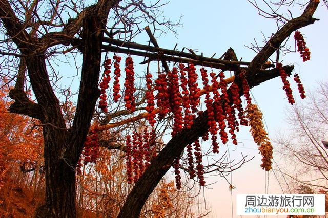 晚风笛声残，夕阳童牧归。山村美景与农耕生活你向往吗？