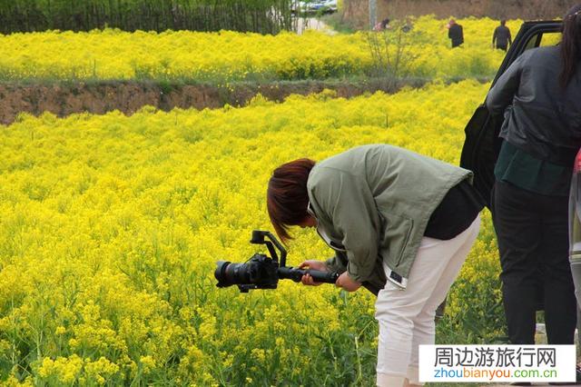 乡村振兴，当地村民最希望从哪些事情开始？