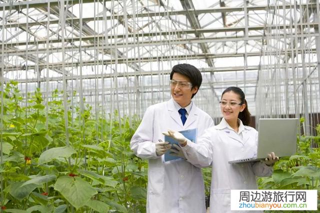 5G信号若全面覆盖且套餐资费也降低，你们愿意回乡村发展吗？