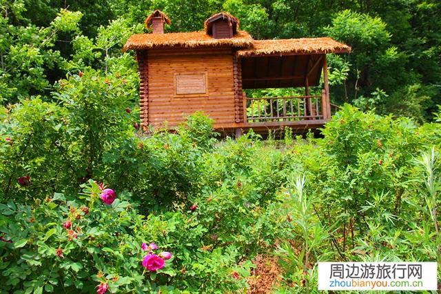 中国口罩基本控制了，景点陆陆续续开放，五一假期怎么选择旅游？