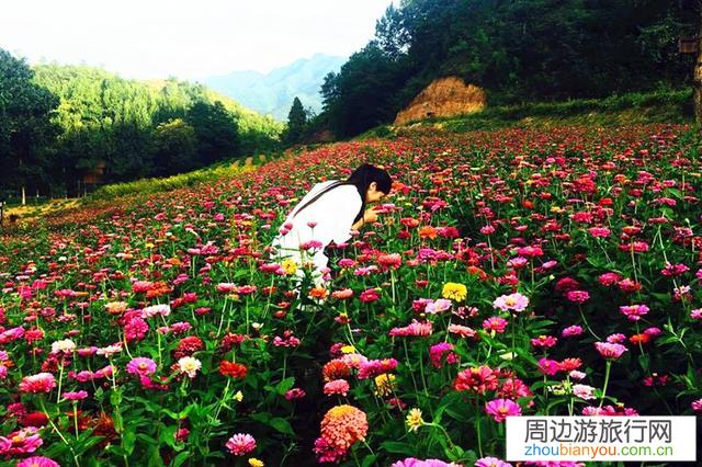 中国口罩基本控制了，景点陆陆续续开放，五一假期怎么选择旅游？