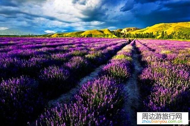 其它行业陆续开始复工了，旅游业的人怎么才能熬过？