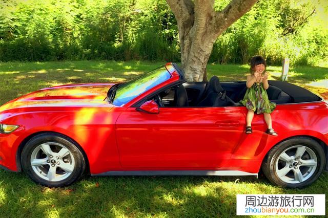 春节一家四口第一次想自驾游，小女儿8个月、大女儿10岁，求推荐路线？