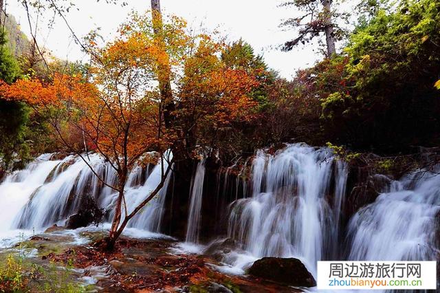 即日起，九寨沟景区恢复对散客开放，单日游客接待最大量调至2万人次，目前执行淡季门票, 你怎么看？