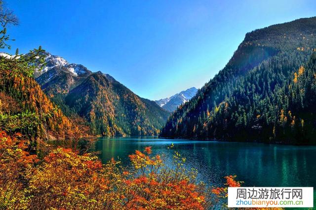 即日起，九寨沟景区恢复对散客开放，单日游客接待最大量调至2万人次，目前执行淡季门票, 你怎么看？