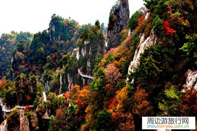 洛阳栾川老君山和嵩县白云山哪个景色好一点儿？哪个更适合旅游？