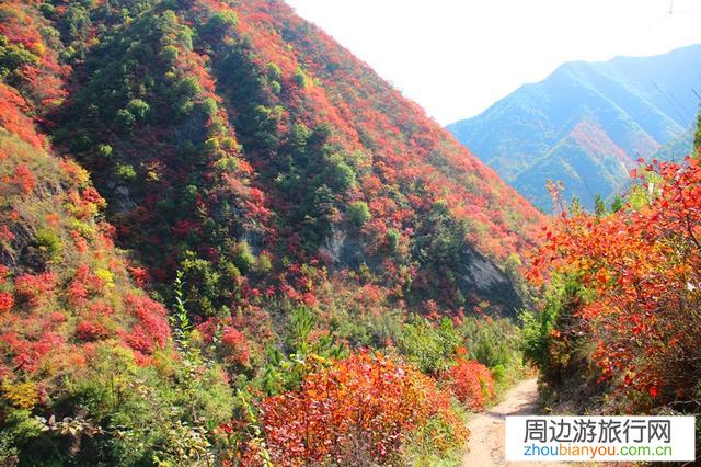 11月份从湖北襄阳出发，哪里最有秋意？问自驾走哪条线可以看到风景？