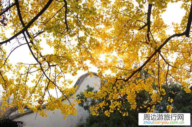 无锡有什么好玩的地方？