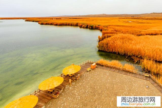 如果有一次免费旅游的机会，你会选择去哪里？
