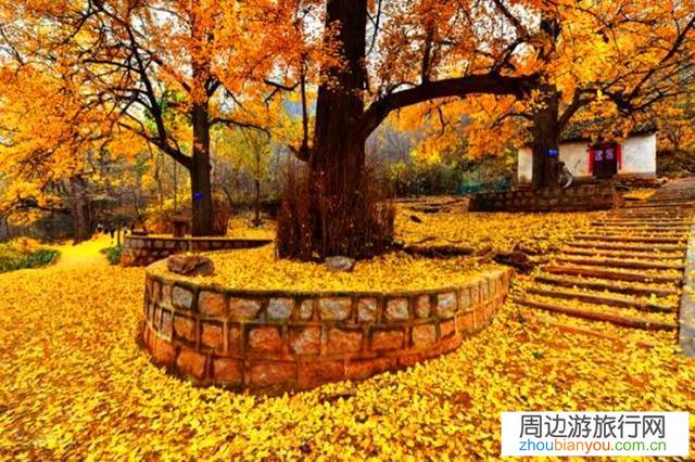 哪里适合旅游一个星期？