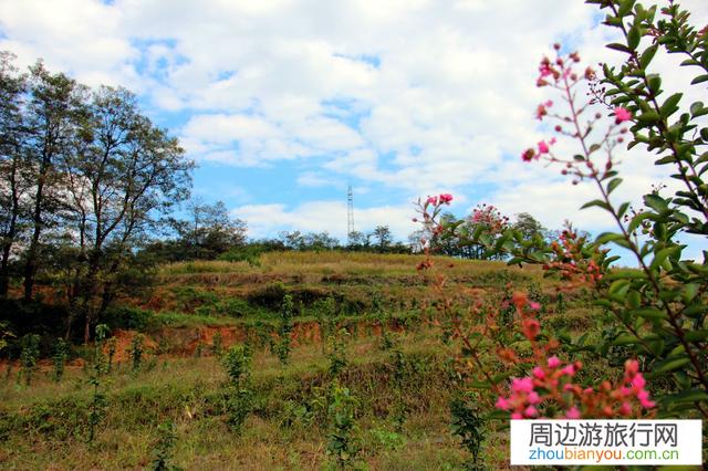 在旅游的过程中，你愿意与今日头条分享你的快乐吗？为什么？