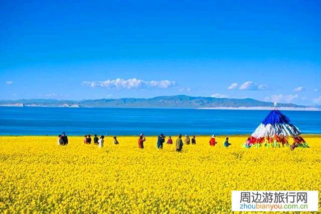 中卫去青海湖自己开车合适还是租车合适？