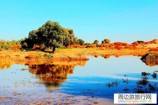 我准备7.26号从大连出发去新疆，从甘肃回，怎么走好？