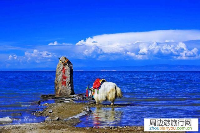 我准备7.26号从大连出发去新疆，从甘肃回，怎么走好？