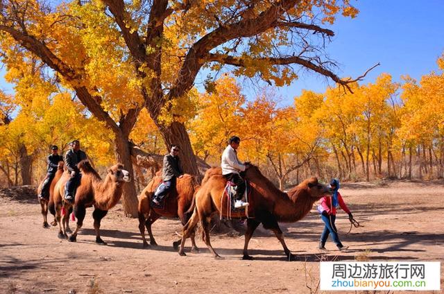 八月想从兰州出发去内蒙，路线怎么安排比较好？谢谢？