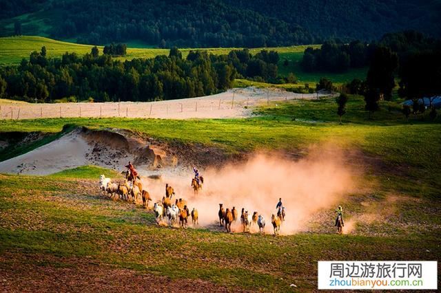八月初，济南自驾到北戴河、坝上草原，有旅行攻略吗？