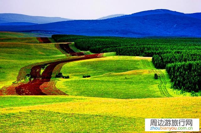 八月初，济南自驾到北戴河、坝上草原，有旅行攻略吗？