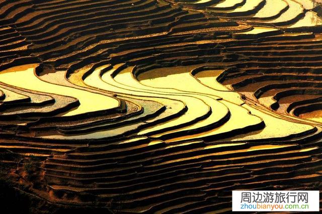 东莞自驾游云南有什么玩的？