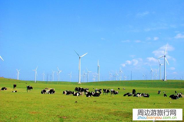我想从河北邯郸自驾辉腾锡勒6日游，如何规划行程？