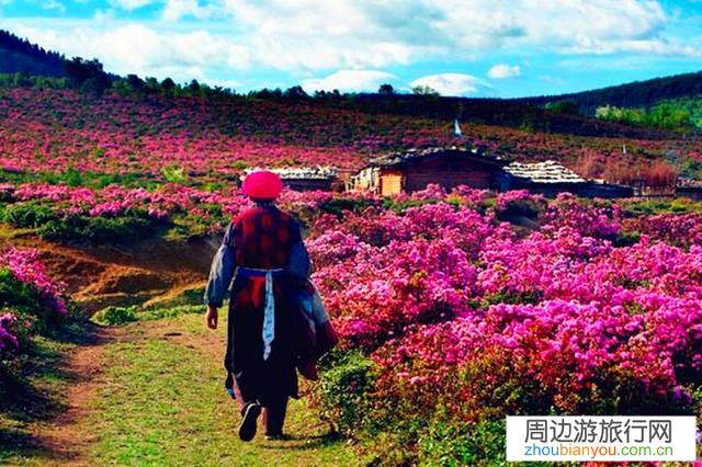 一些朋友讲现云南的旅游业没贵州的搞得好，你怎样看？