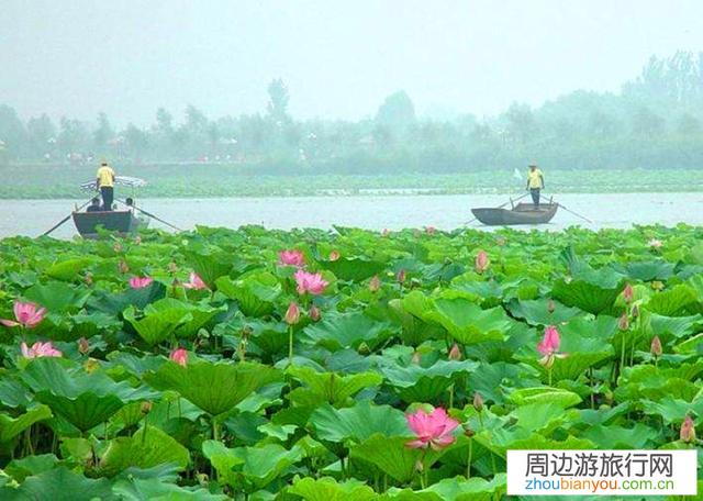 请问河北保定范围哪里有好玩的地方？