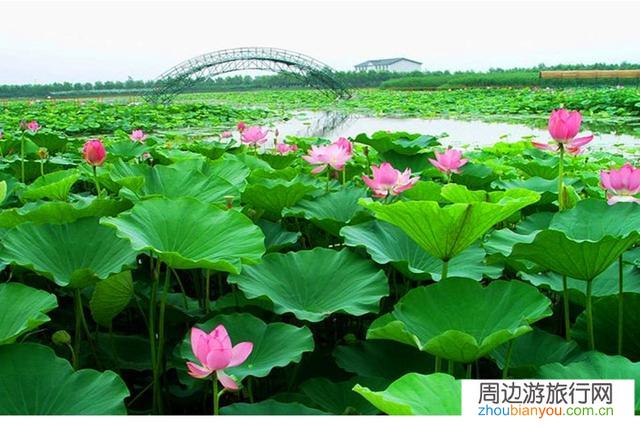 请问河北保定范围哪里有好玩的地方？