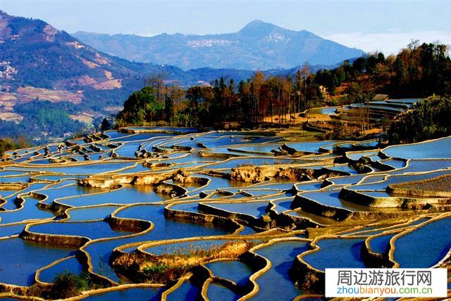 梯田的最佳旅游时期，比如龙胜梯田和紫鹊界梯田，元阳梯田有什么区别？