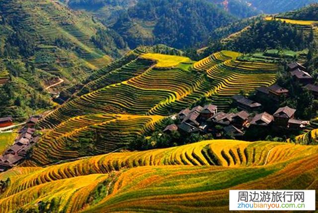 梯田的最佳旅游时期，比如龙胜梯田和紫鹊界梯田，元阳梯田有什么区别？