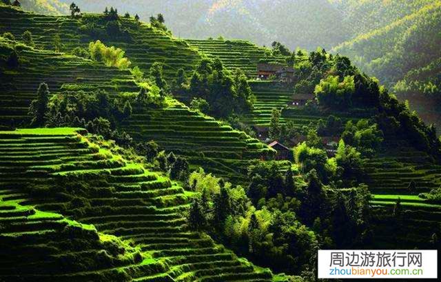 梯田的最佳旅游时期，比如龙胜梯田和紫鹊界梯田，元阳梯田有什么区别？