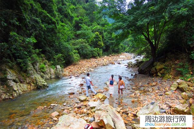 景区和野游，你更喜欢哪一种？