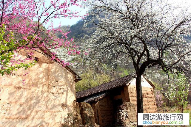 您喜欢和参与您本地的乡村游吗？