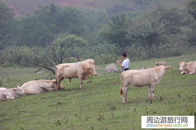 为什么有人出去旅游喜欢拍景色，喜欢拍背影，不喜欢露脸呢，前提是长的还可以哦?？