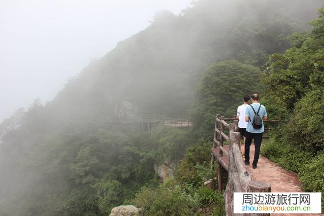 为什么有人出去旅游喜欢拍景色，喜欢拍背影，不喜欢露脸呢，前提是长的还可以哦?？