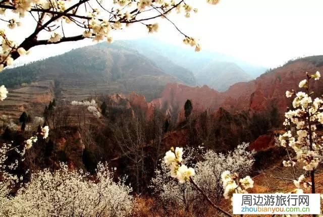 采取哪些措施能让一个生态休闲旅游景区活起来?占地3500亩，水面700亩？