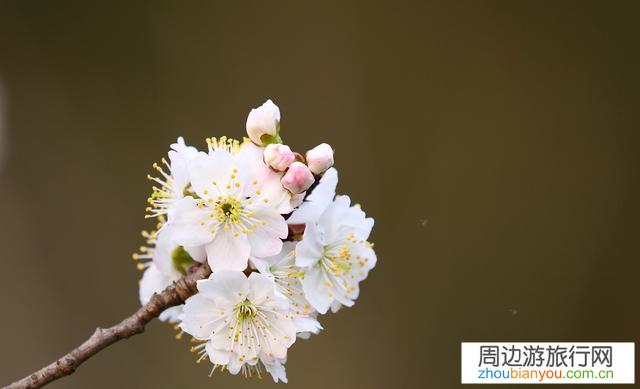 采取哪些措施能让一个生态休闲旅游景区活起来?占地3500亩，水面700亩？