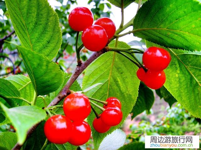 采取哪些措施能让一个生态休闲旅游景区活起来?占地3500亩，水面700亩？