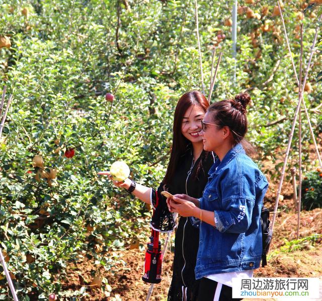如果给你一次免费的3人长假旅游，首先你会去选择谁和你一起去呢？
