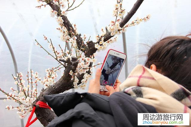 经常一个人出门旅游的人，心态是什么样子的？