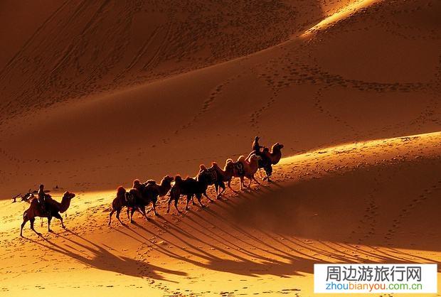你最想去的旅游景点是哪？