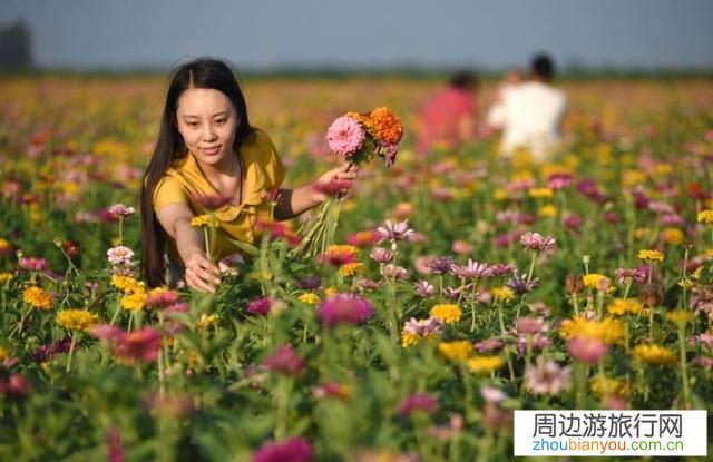 一个人旅游适合去哪里？