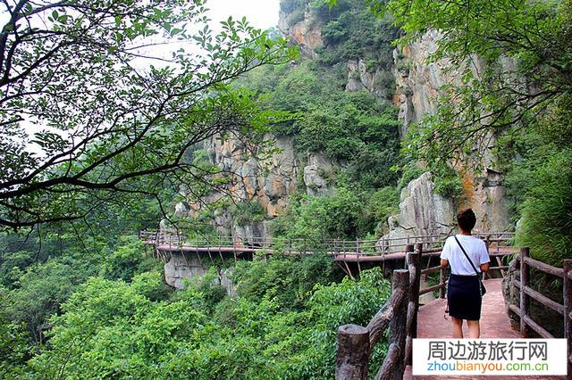一个人旅游和跟团游相比，哪个体验比较好？