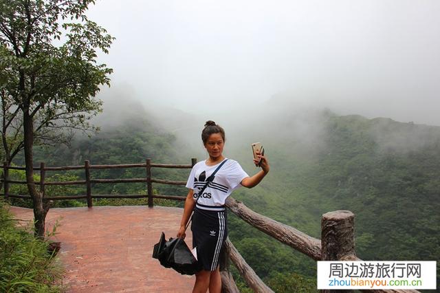 一个人旅游和跟团游相比，哪个体验比较好？