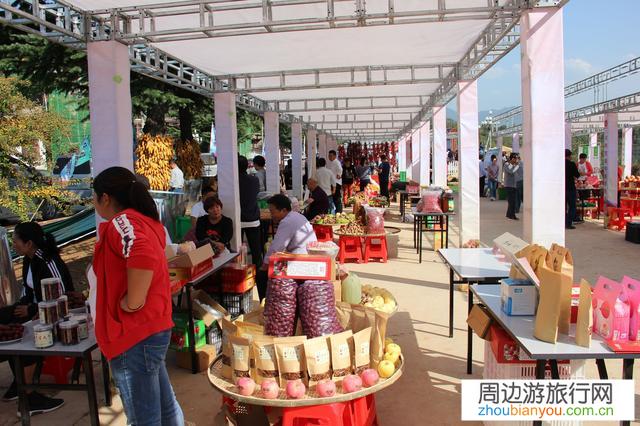 发展乡村旅游会遇到哪些方面的问题？