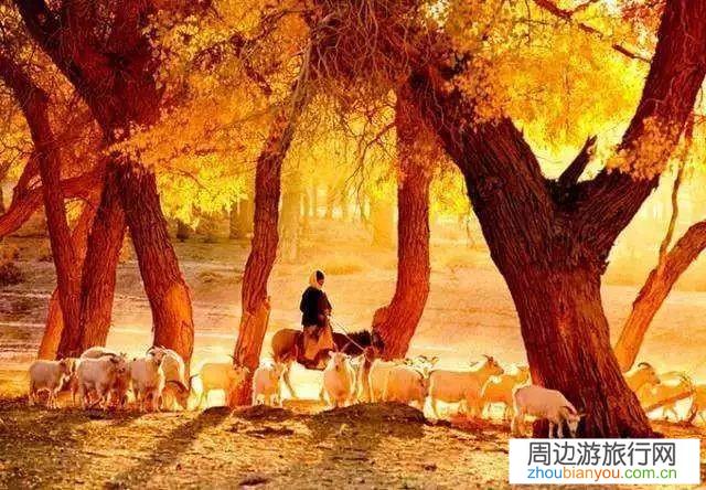 电影中有哪些让人神往的地方？