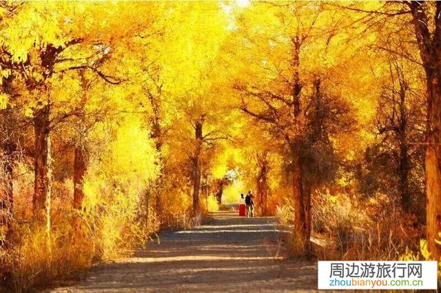 电影中有哪些让人神往的地方？