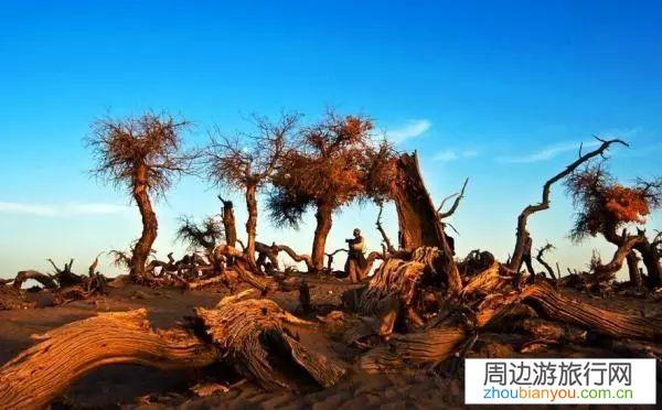 电影中有哪些让人神往的地方？