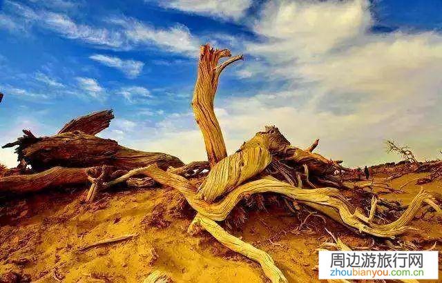 电影中有哪些让人神往的地方？
